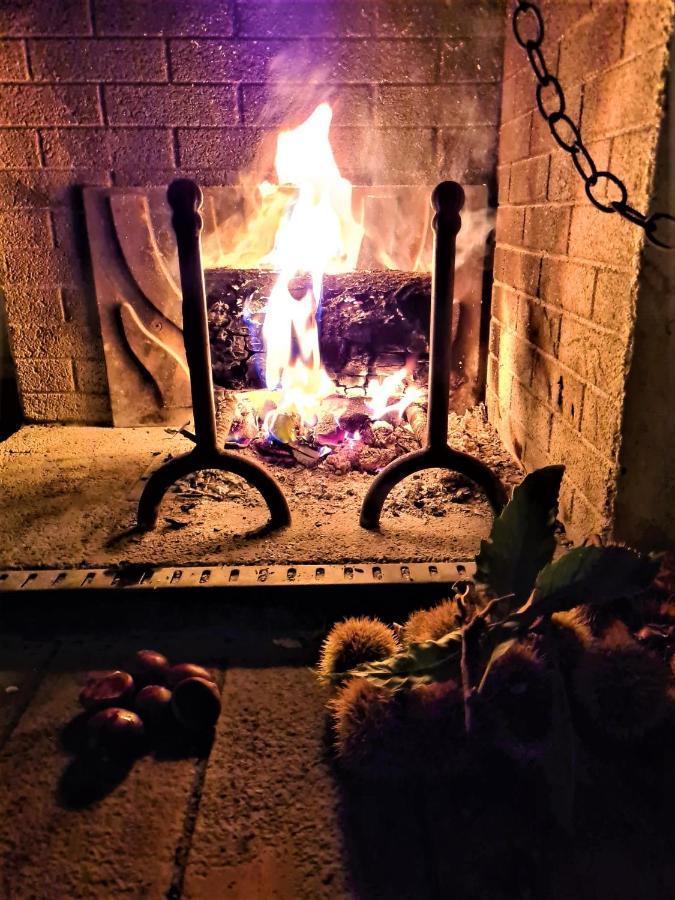 Incantevole Casa Sul Fiume, Relax E Natura Ai Piedi Della Alpi Apuane Massa  Eksteriør billede