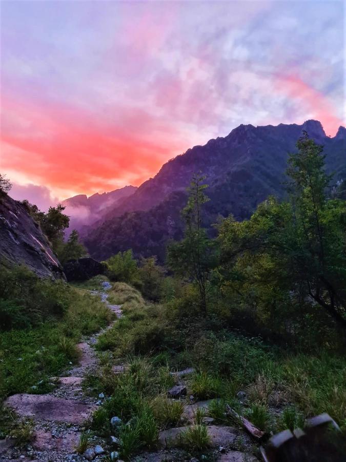 Incantevole Casa Sul Fiume, Relax E Natura Ai Piedi Della Alpi Apuane Massa  Eksteriør billede
